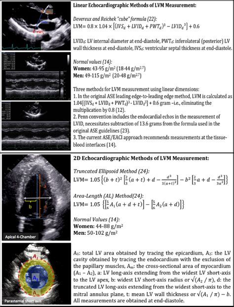 lv mass echocardiography|Normal Values of Left Ventricular Mass by Two.